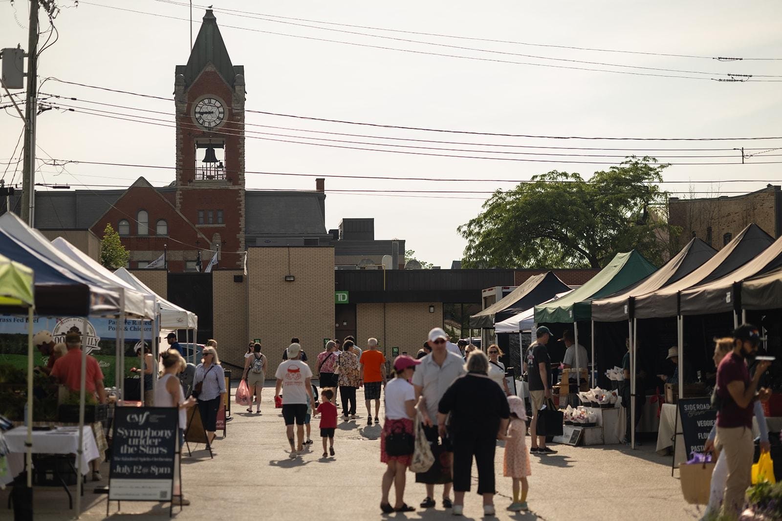 People shopping at the Collingwood Farmers’ Market on a sunny day